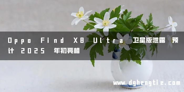 Oppo Find X8 Ultra 卫星版泄露 预计 2025 年初亮相
